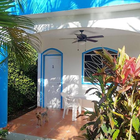 Chambre Bungalow2 Las Terrenas Exterior foto