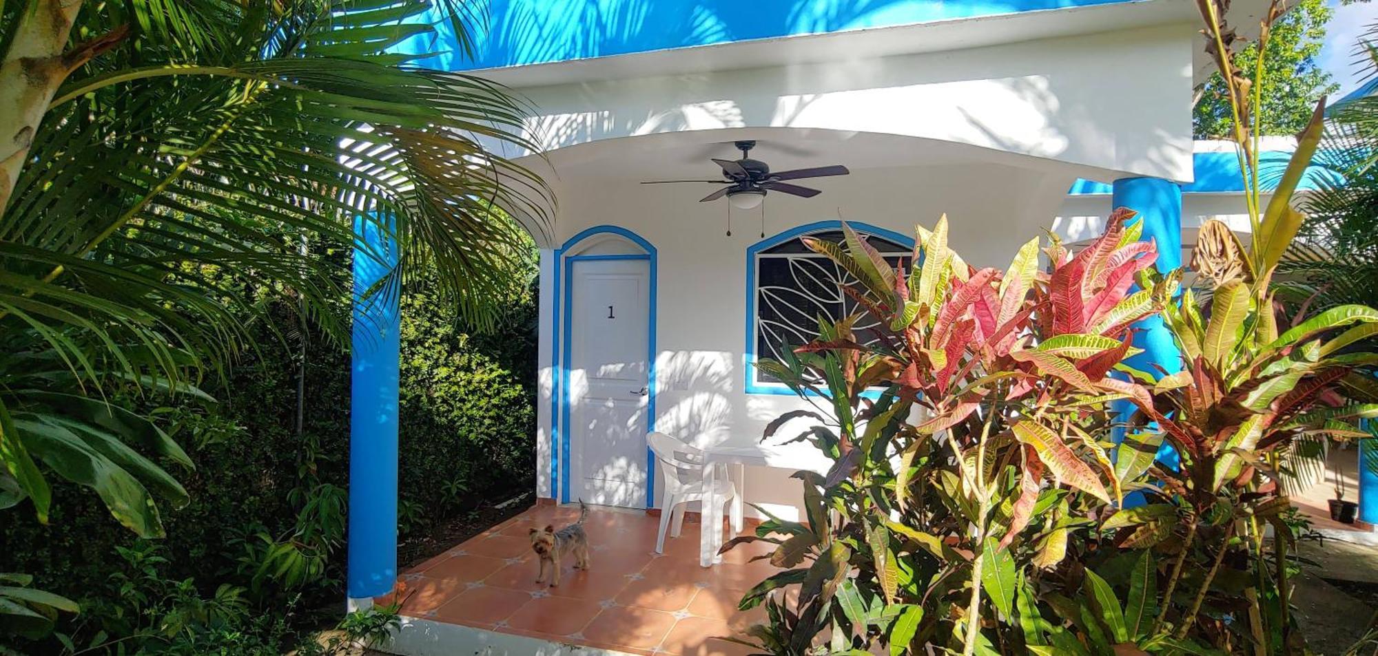 Chambre Bungalow2 Las Terrenas Exterior foto
